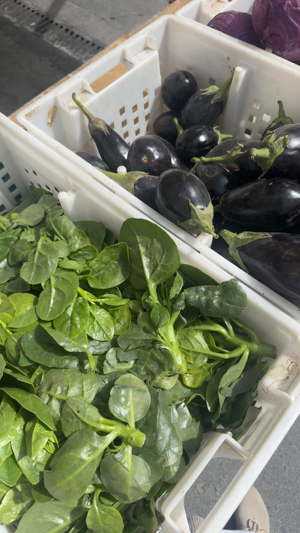 Organic Veggies